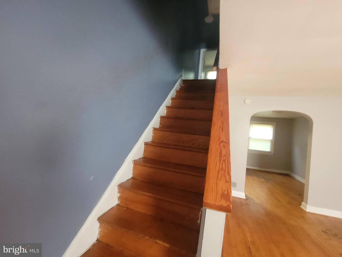 3312 Avondale Ave Property Photo 12