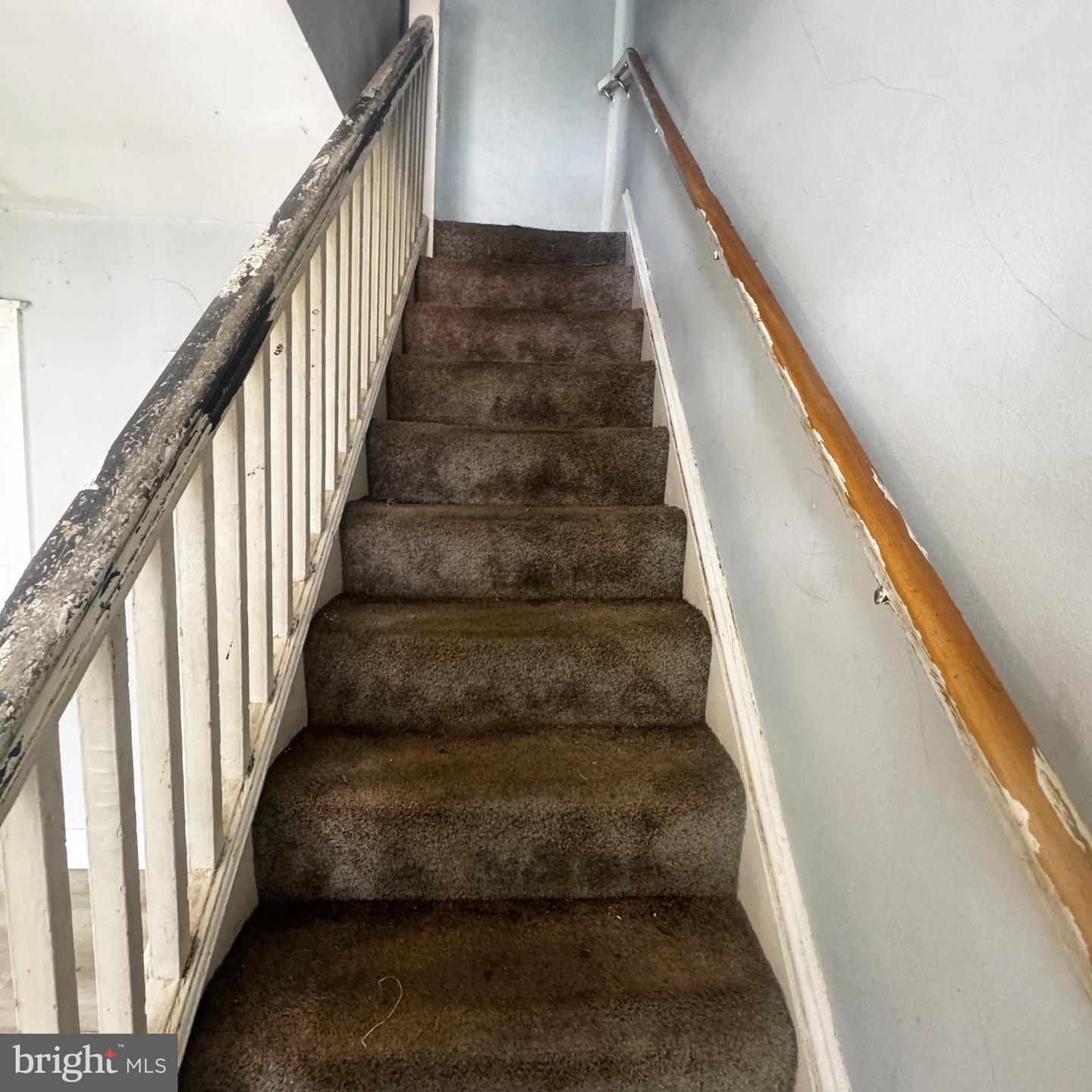 3327 Ravenwood Ave Property Photo 10