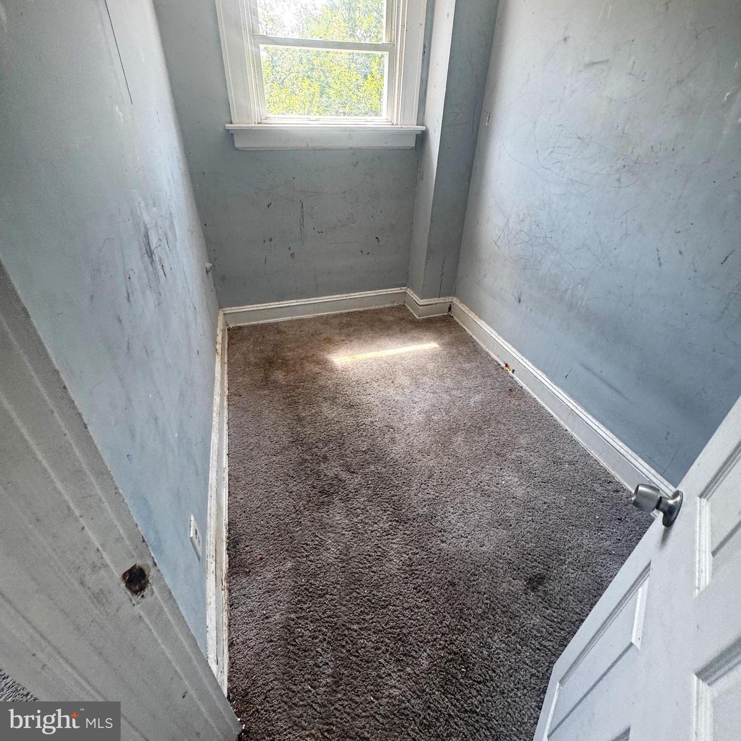 3327 Ravenwood Ave Property Photo 15
