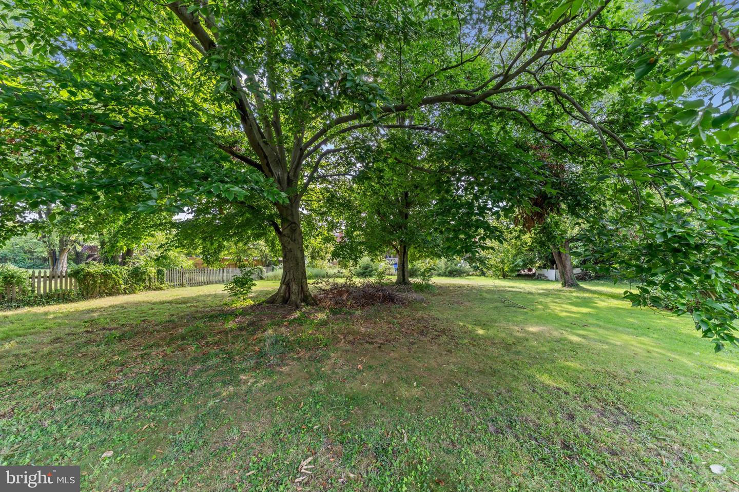 1016 Pine Heights Ave Property Photo 43