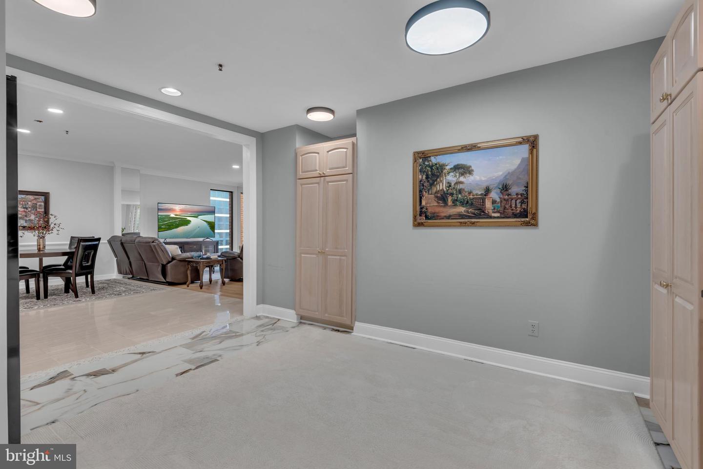 10 E Lee St #2408 Property Photo 48