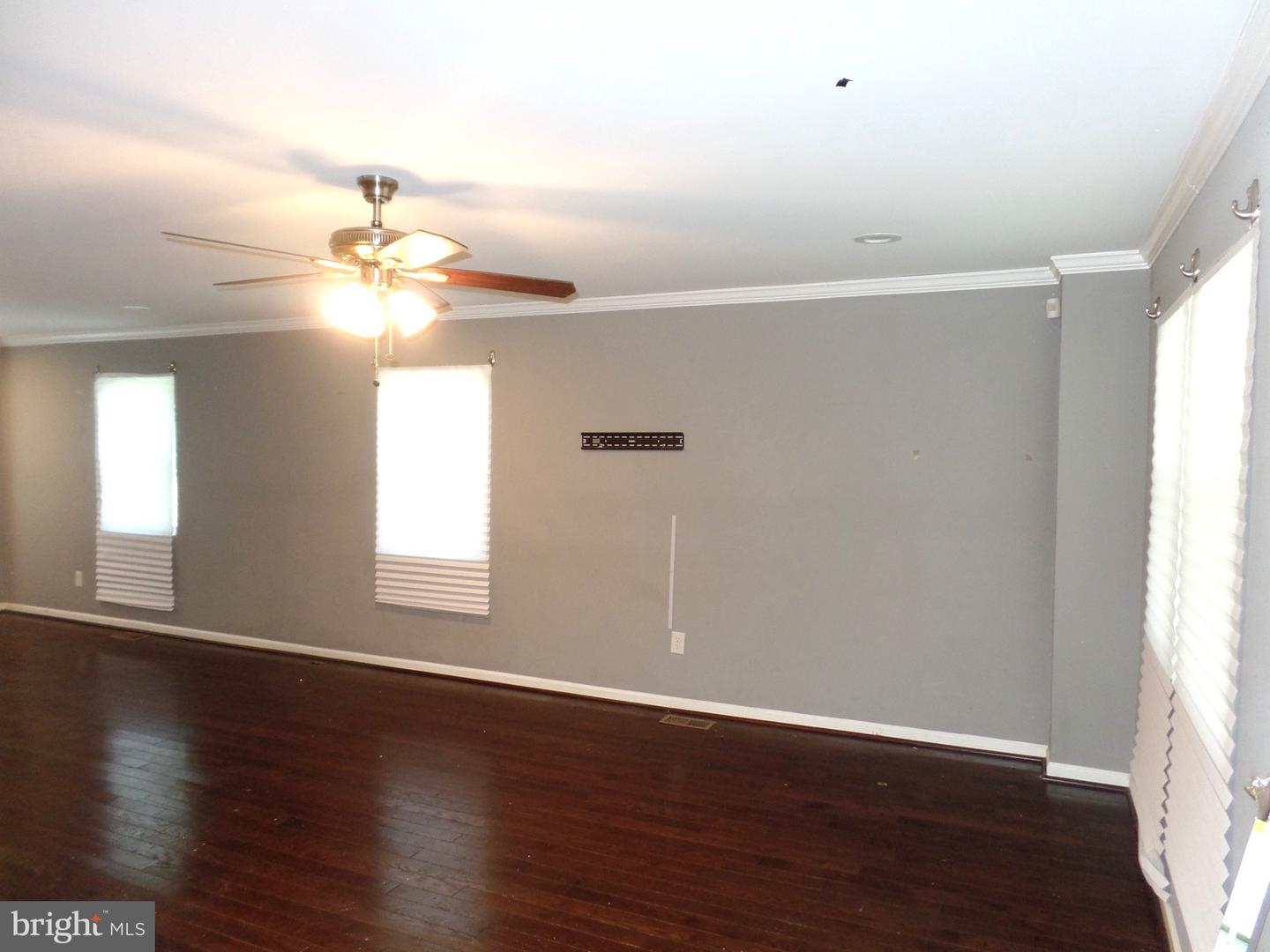 5611 Elderon Ave Property Photo 8