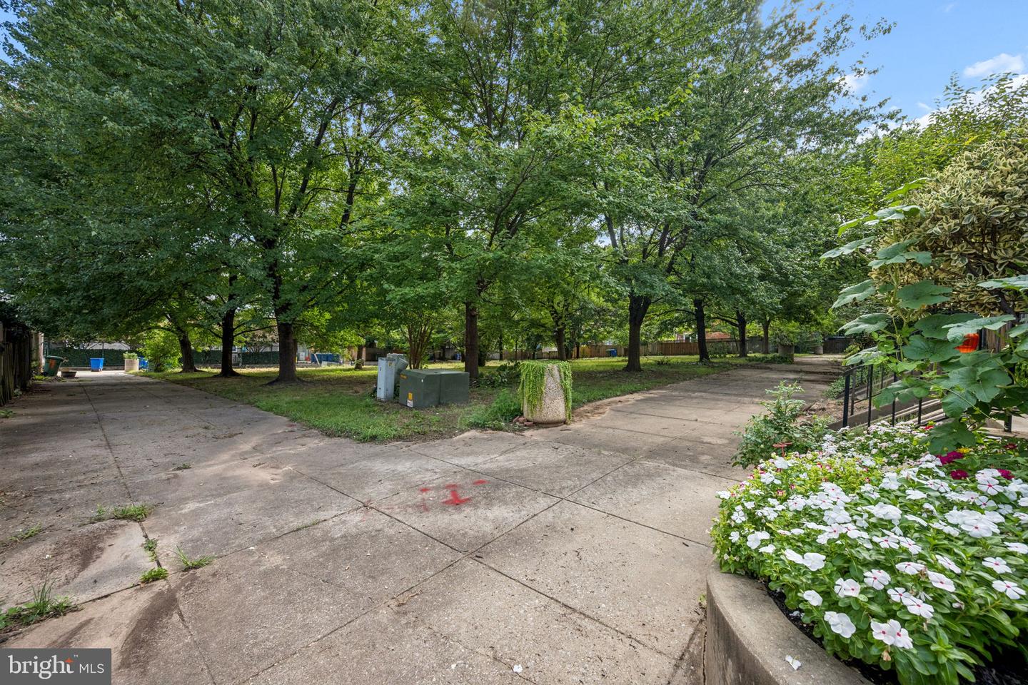 16 N Wolfe St Property Photo 43