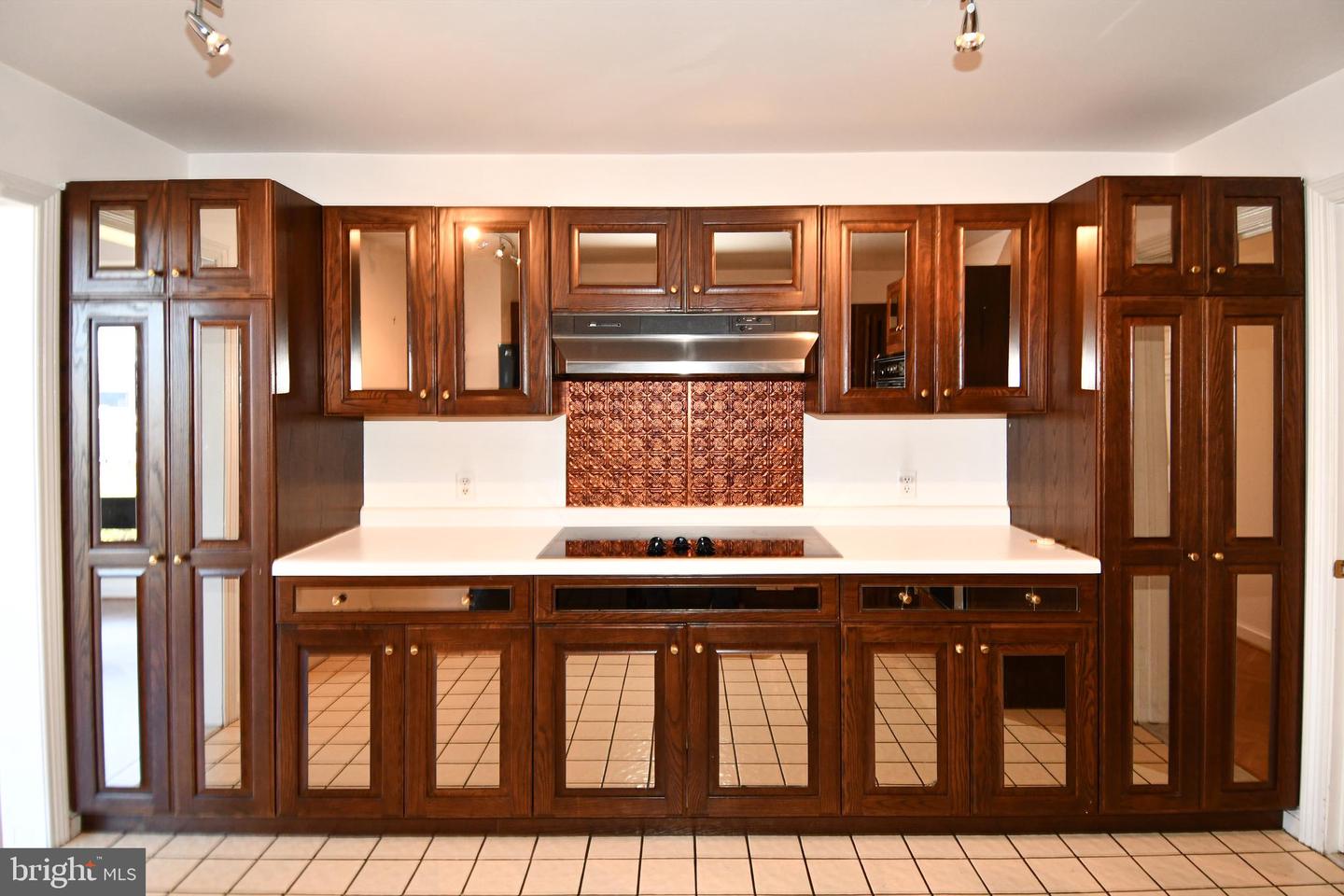 10 E Lee St #809 Property Photo 60