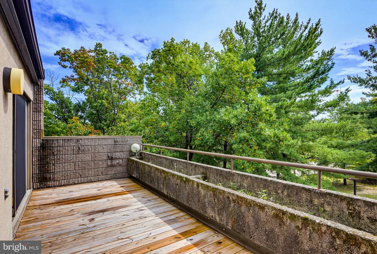 2211 Clove Ter Property Photo 13
