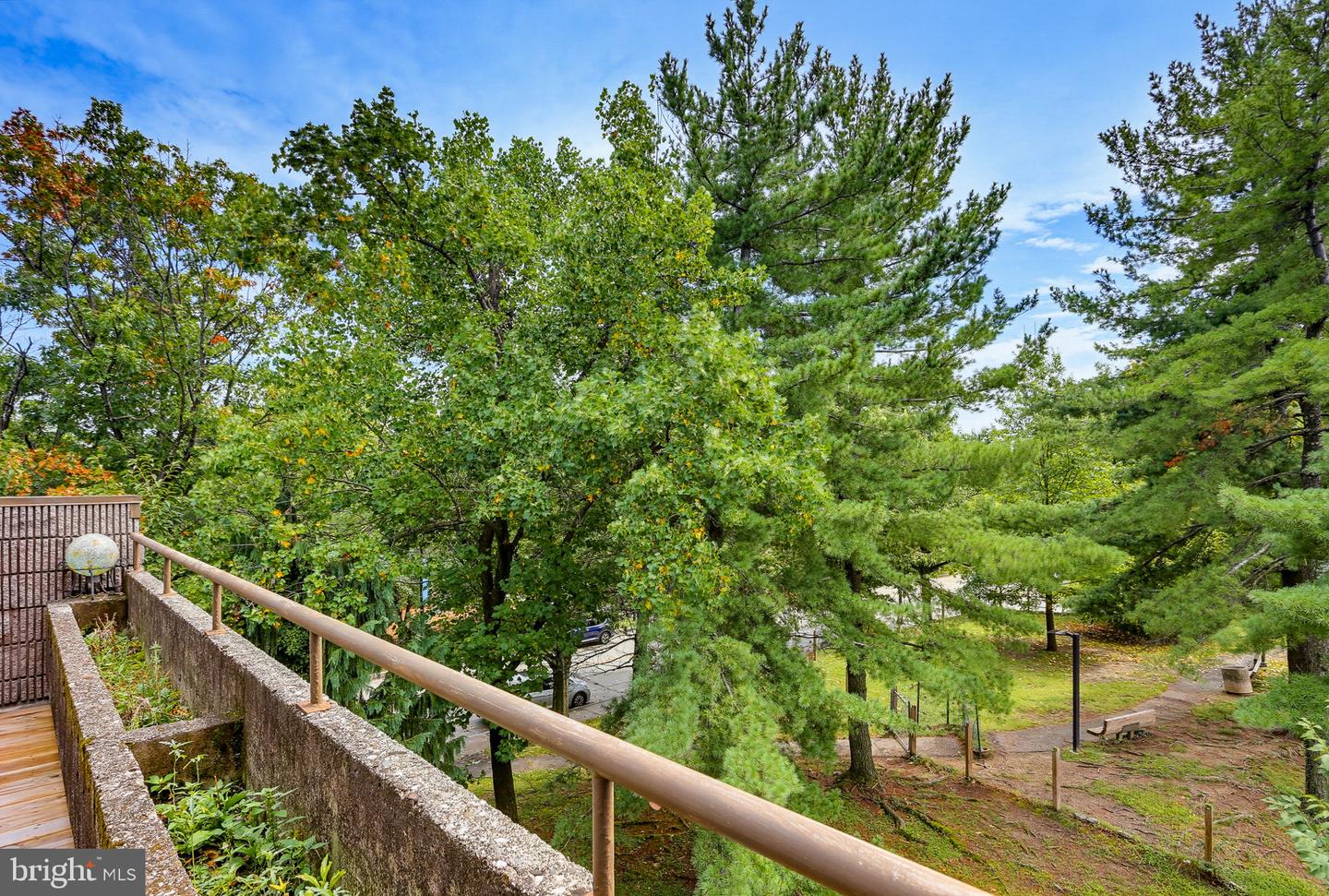 2211 Clove Ter Property Photo 14