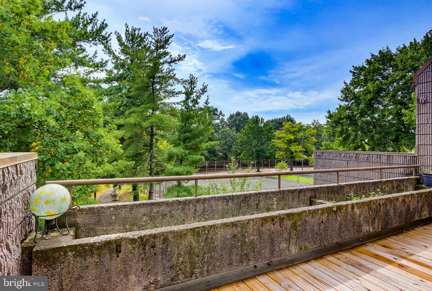 2211 Clove Ter Property Photo 15