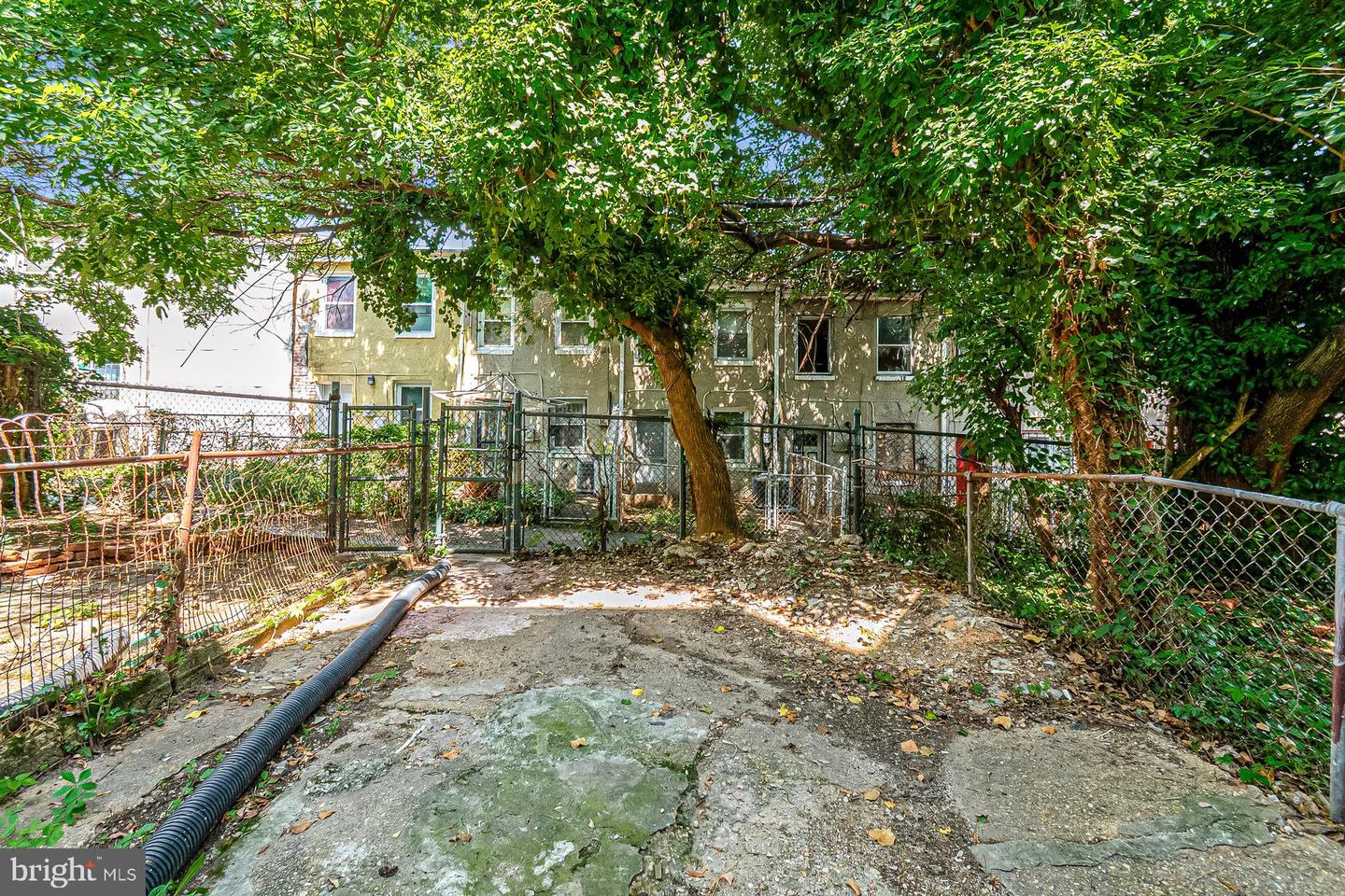 1135 Myrtle Ave Property Photo 18