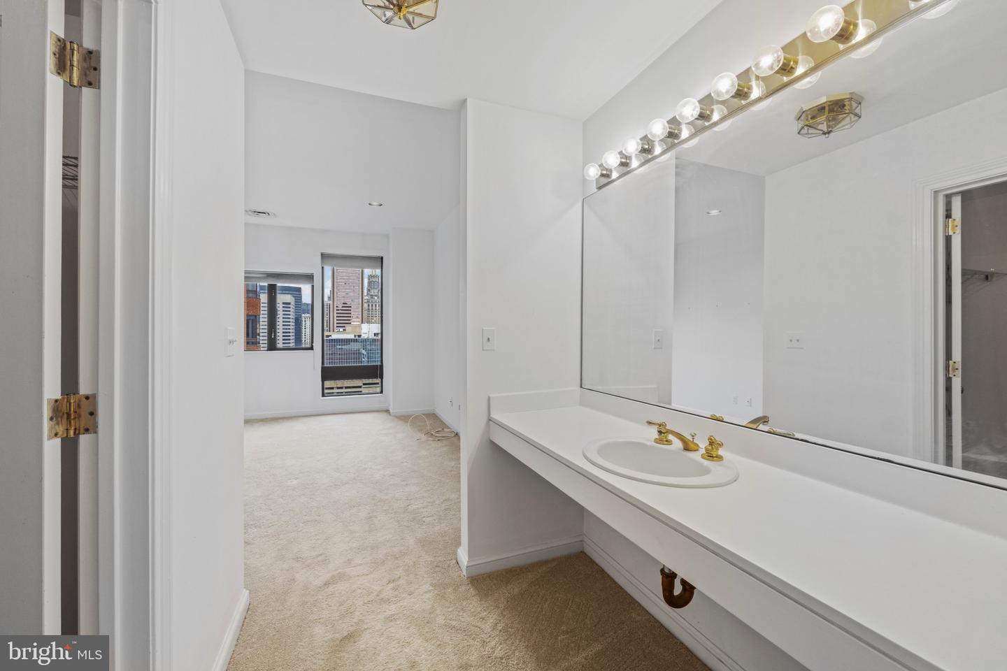 10 E Lee St #1102 Property Photo 19