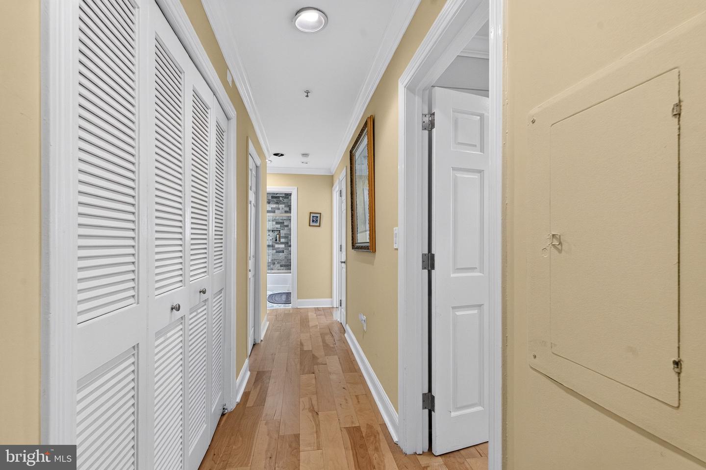 10 E Lee St #1709 Property Photo 13