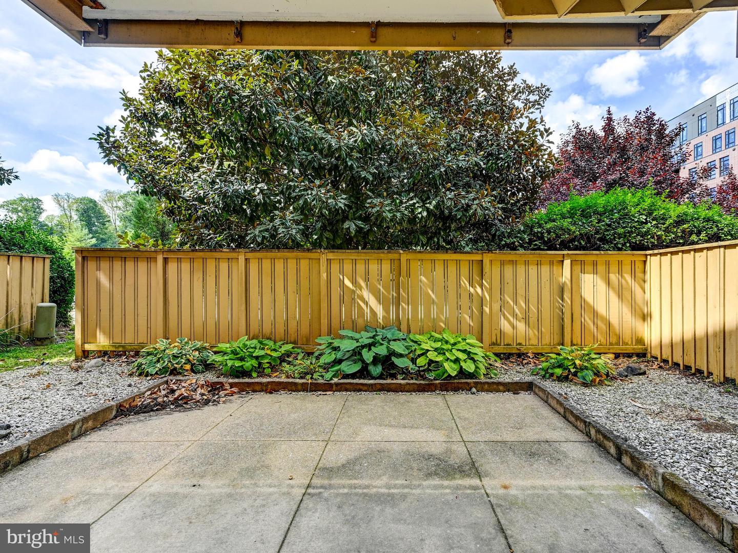 19 Hamill Rd #19a Property Photo 19
