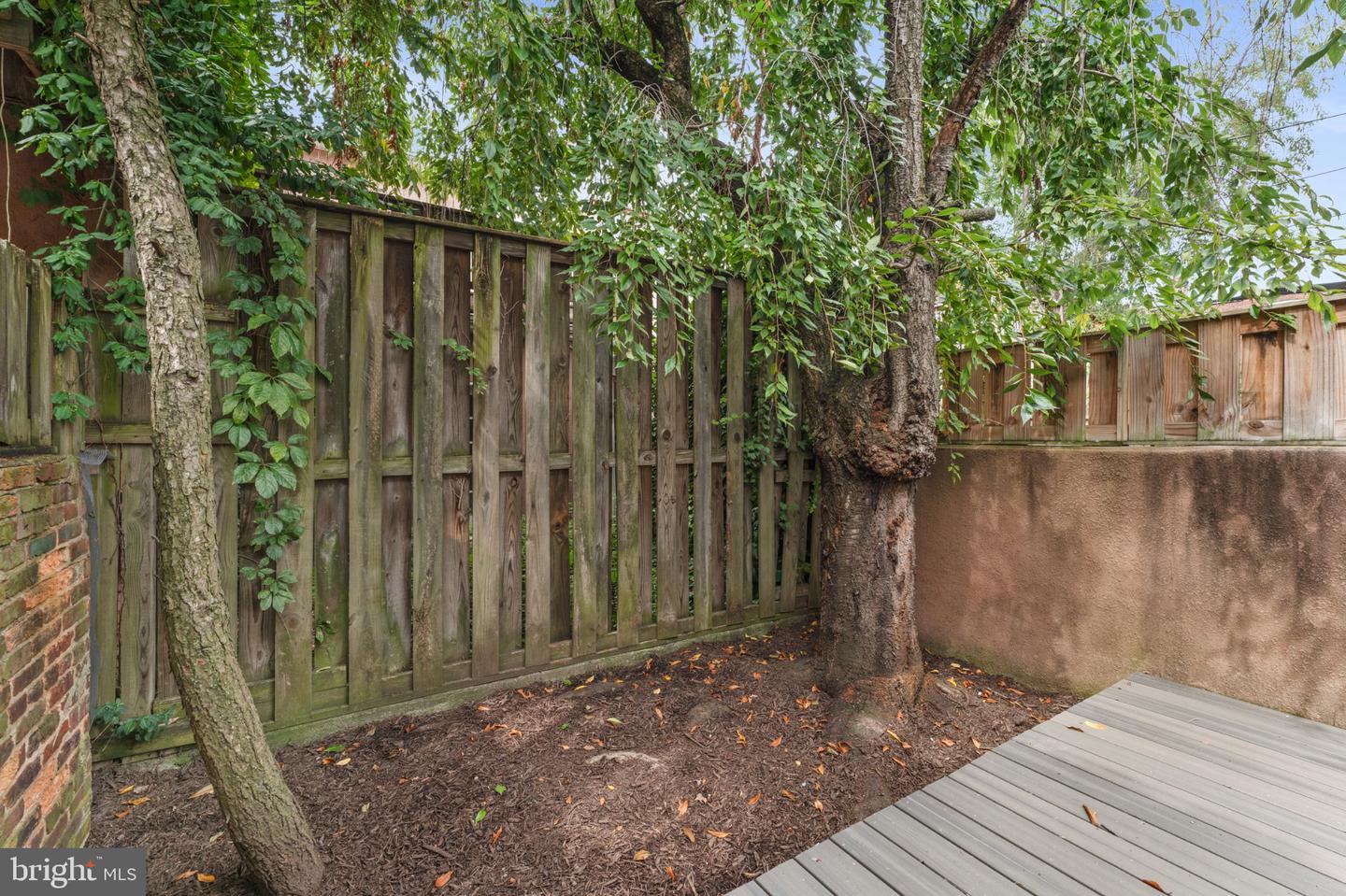 1034 Olive St Property Photo 27