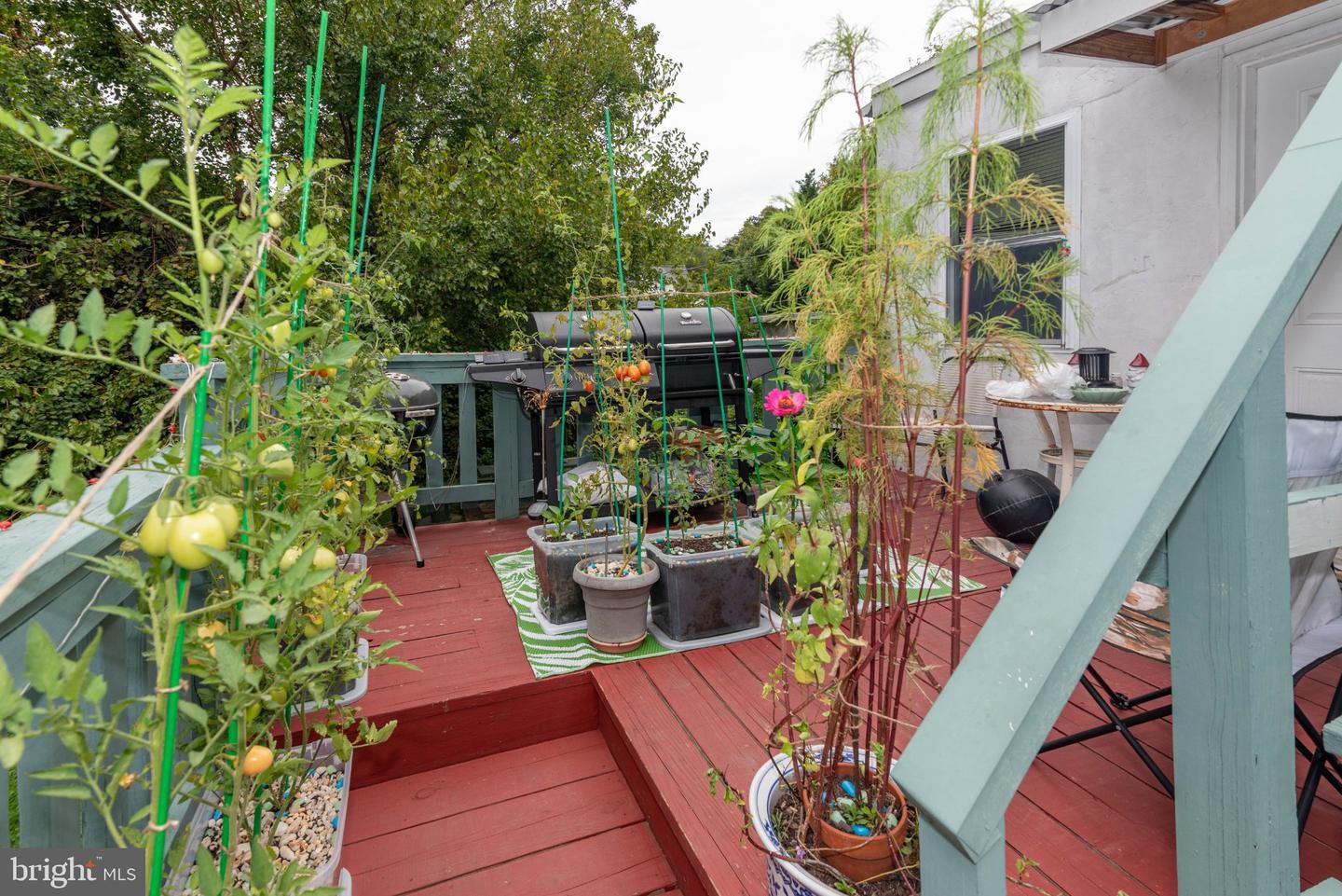 6408 Brook Ave Property Photo 64