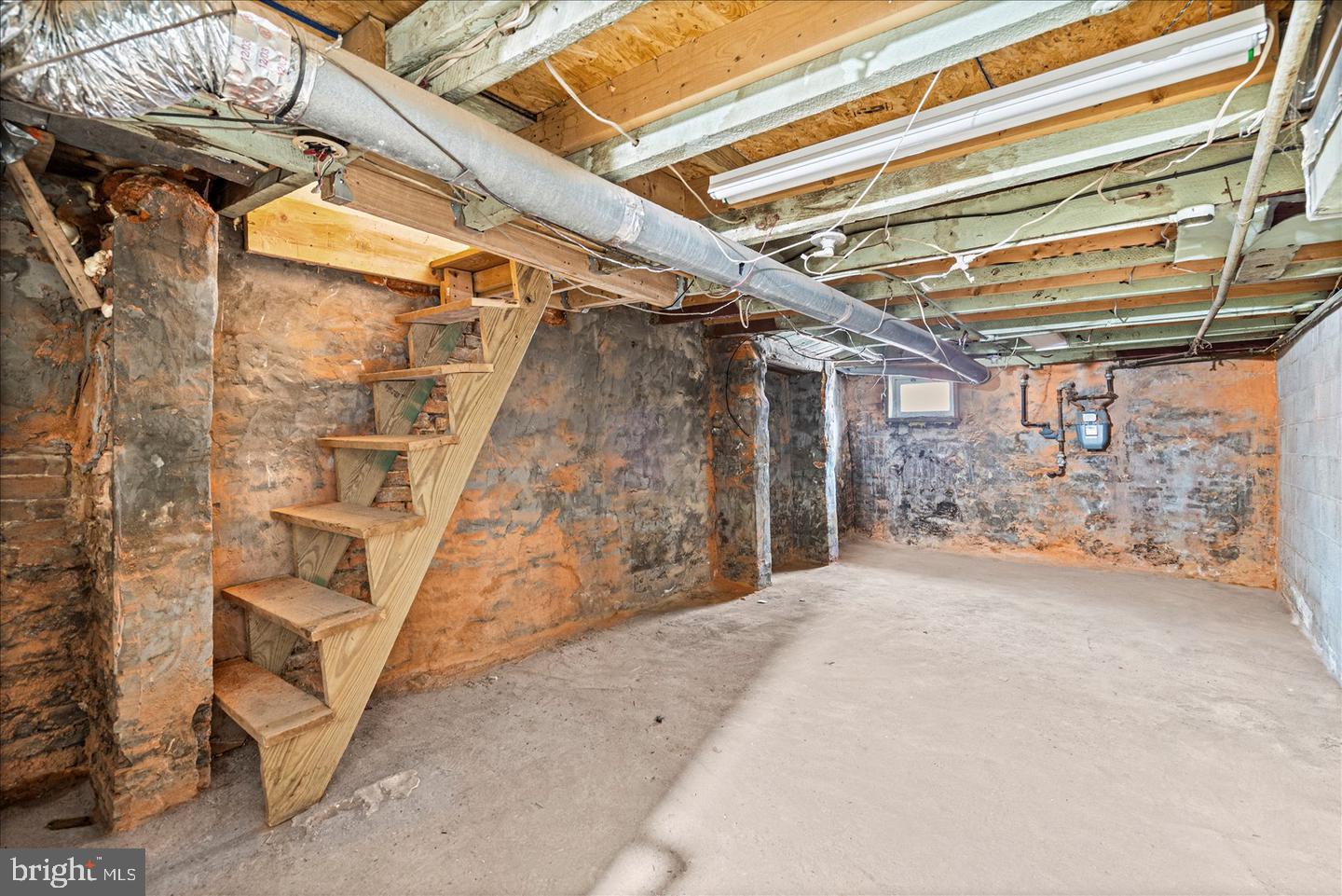 1504 William St Property Photo 21