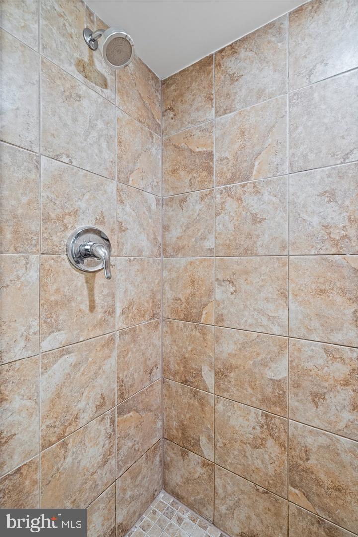 1504 William St Property Photo 28
