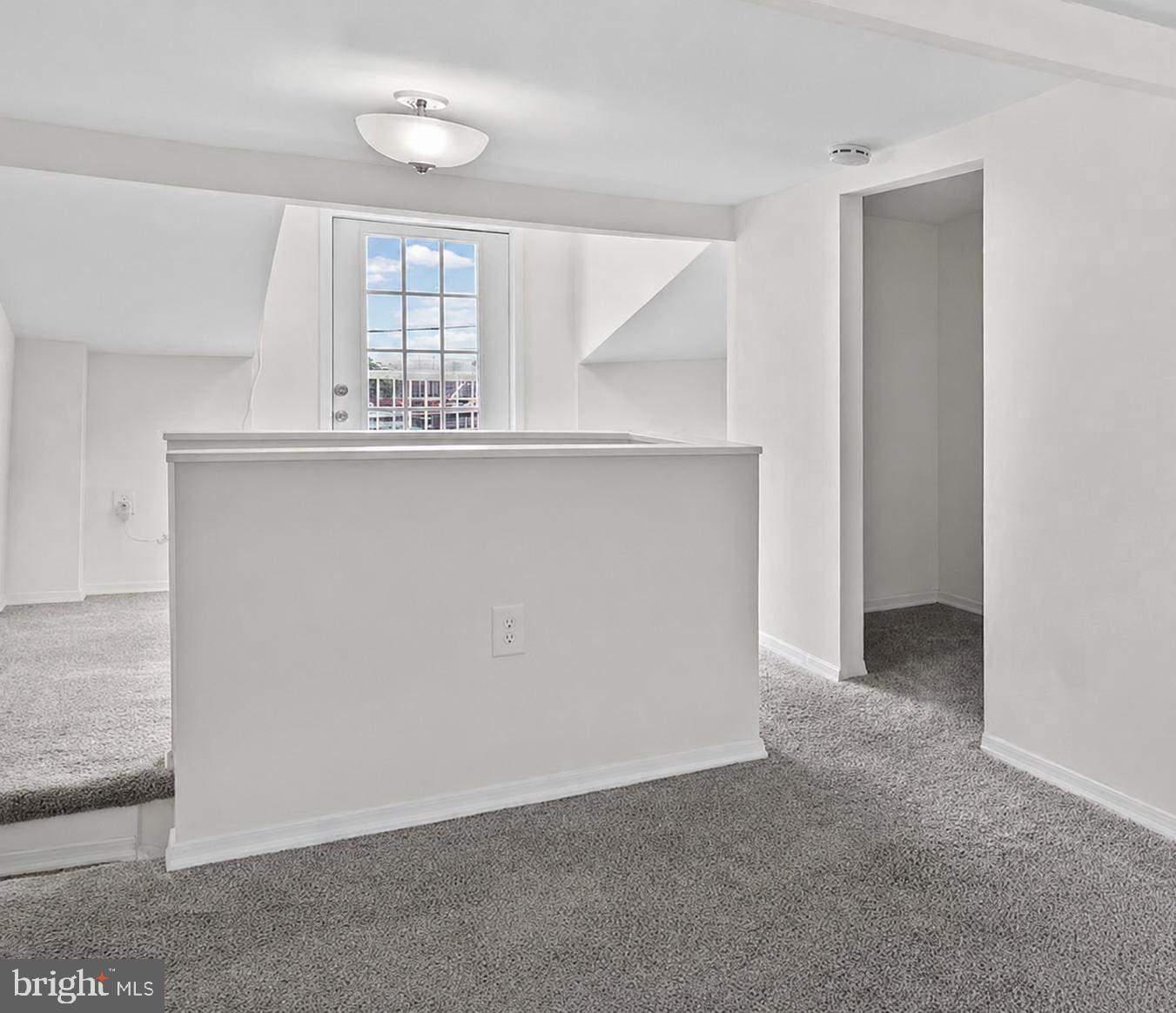 1504 William St Property Photo 33