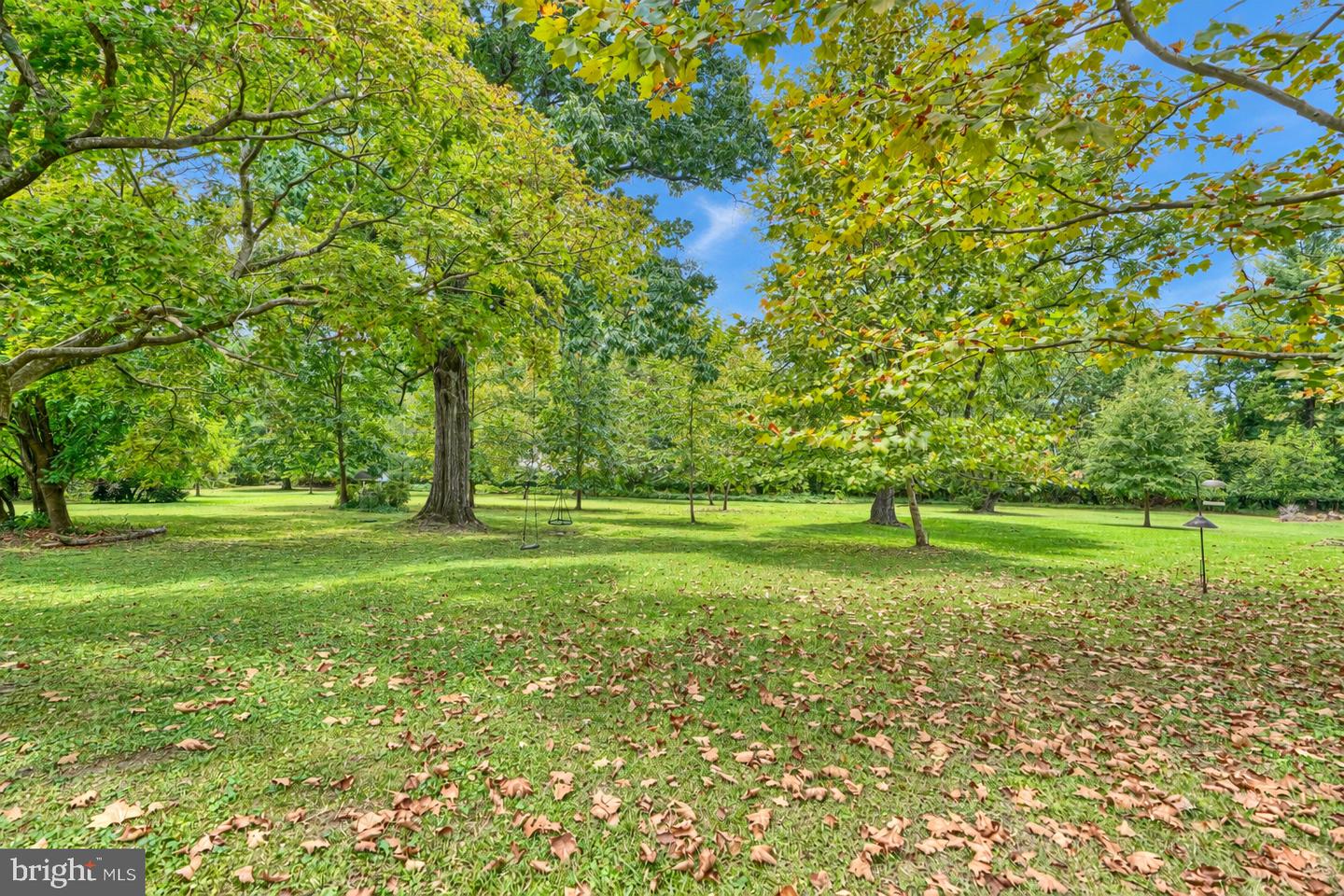 5525 Mattfeldt Property Photo 56