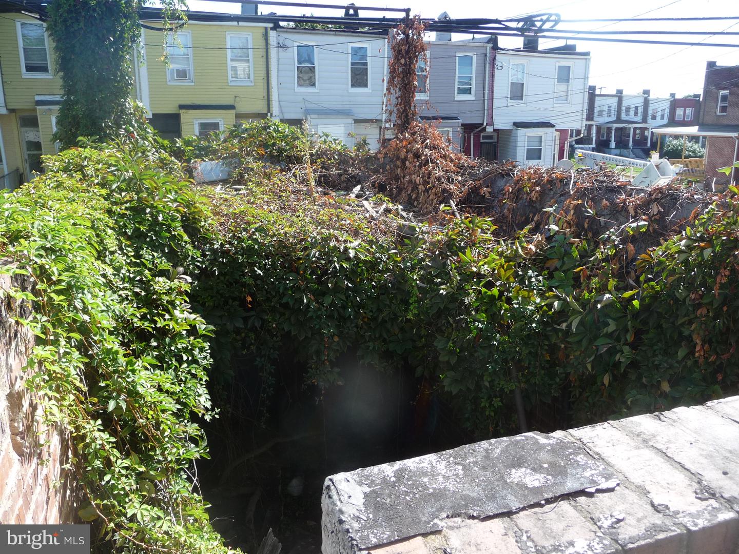 2239 Penrose Ave Property Photo 15