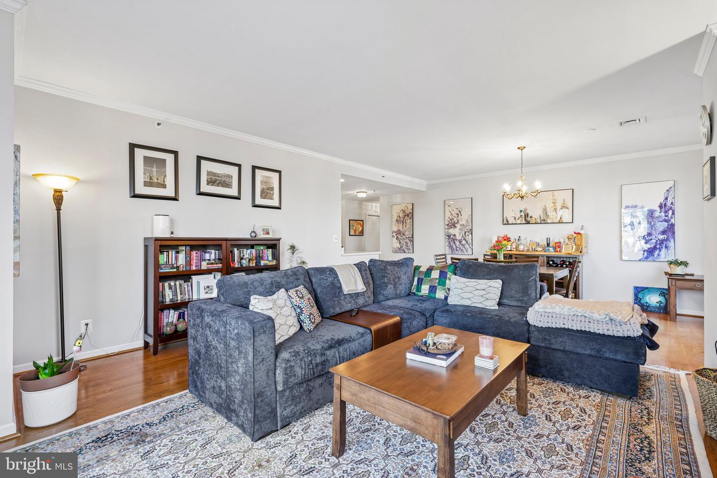 10 E Lee St #802 Property Photo 10