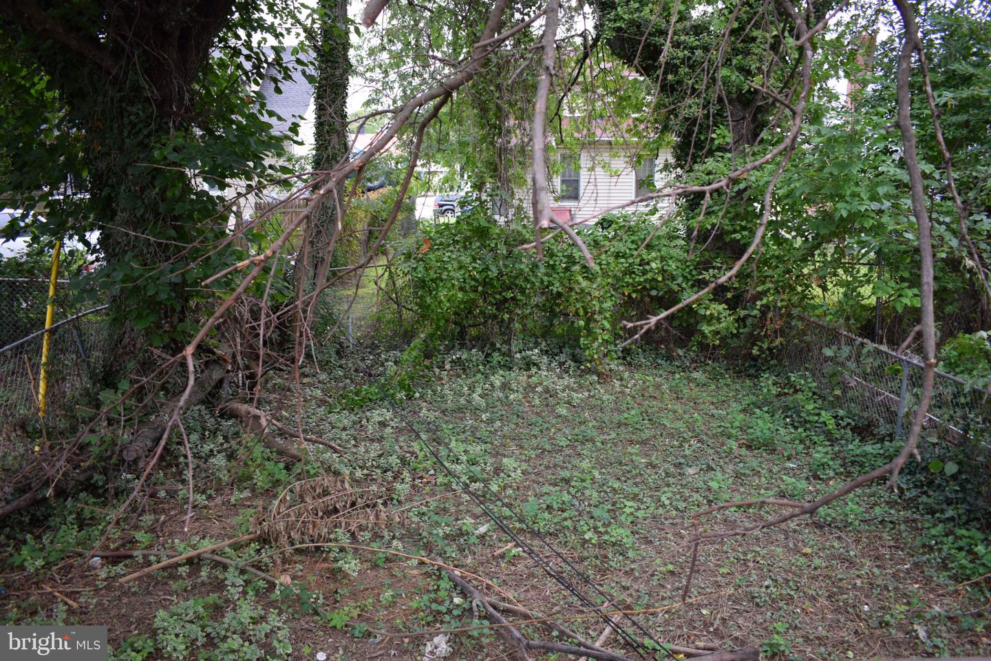 3718 Boarman Ave Property Photo 28