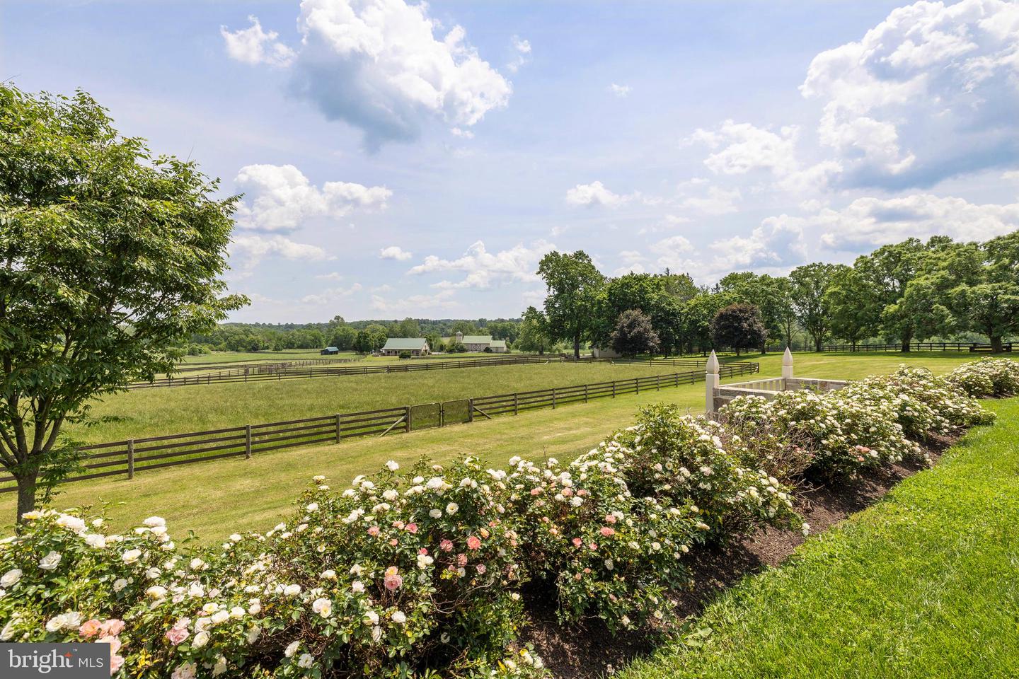 14111 Green Rd Property Photo 103
