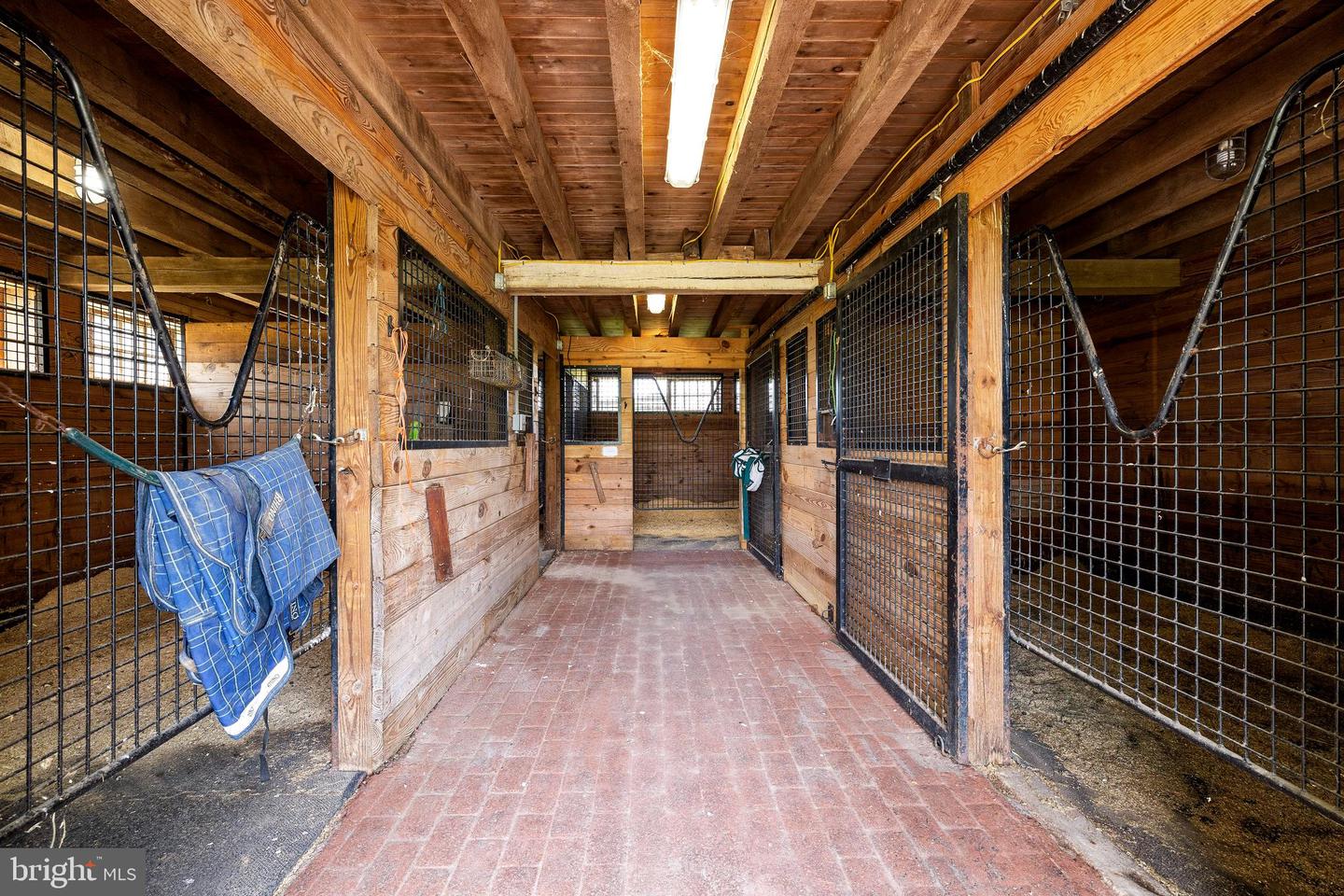 14111 Green Rd Property Photo 134