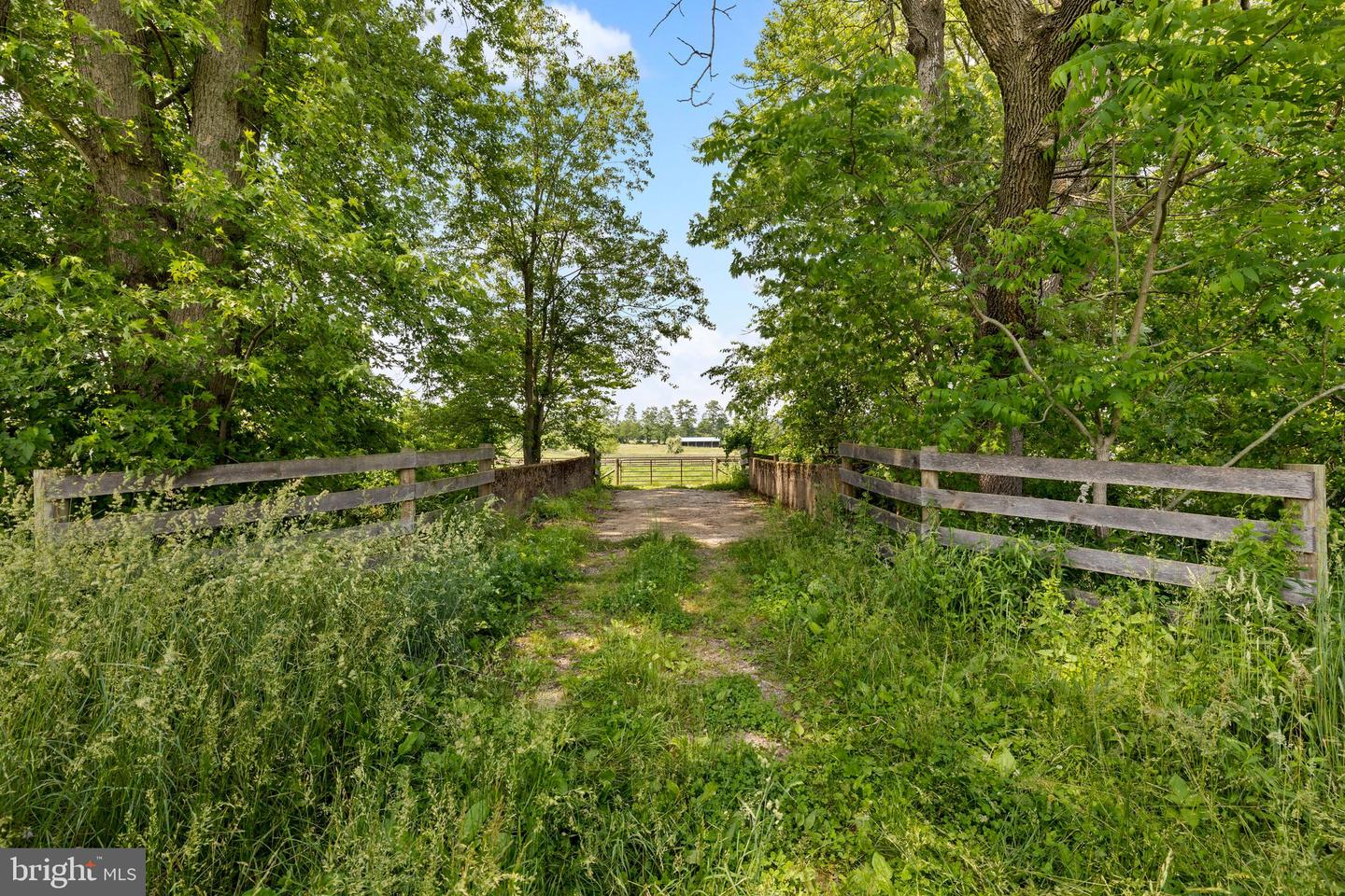 14111 Green Rd Property Photo 142