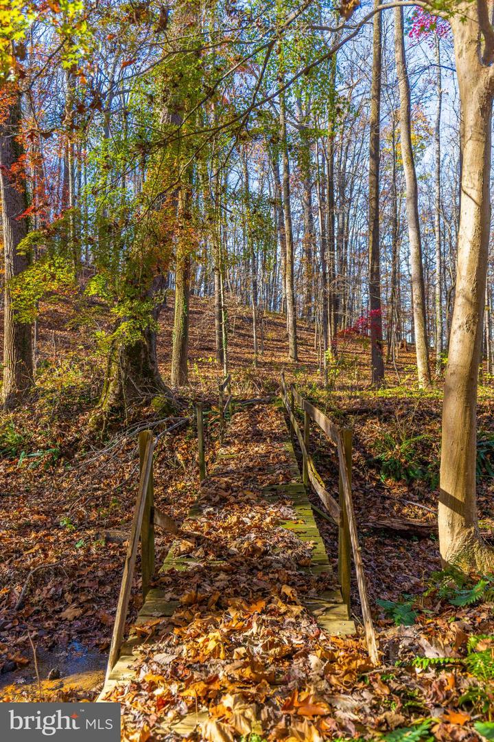 Hillside Property Photo 3