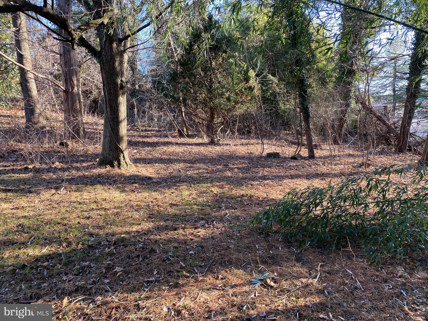 1620 Reisterstown Rd Property Photo 4