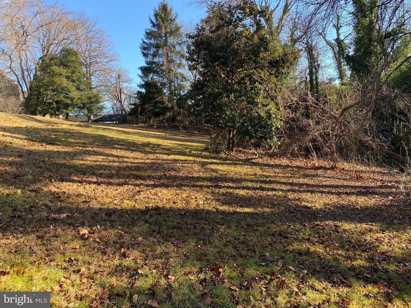 1620 Reisterstown Rd Property Photo 6