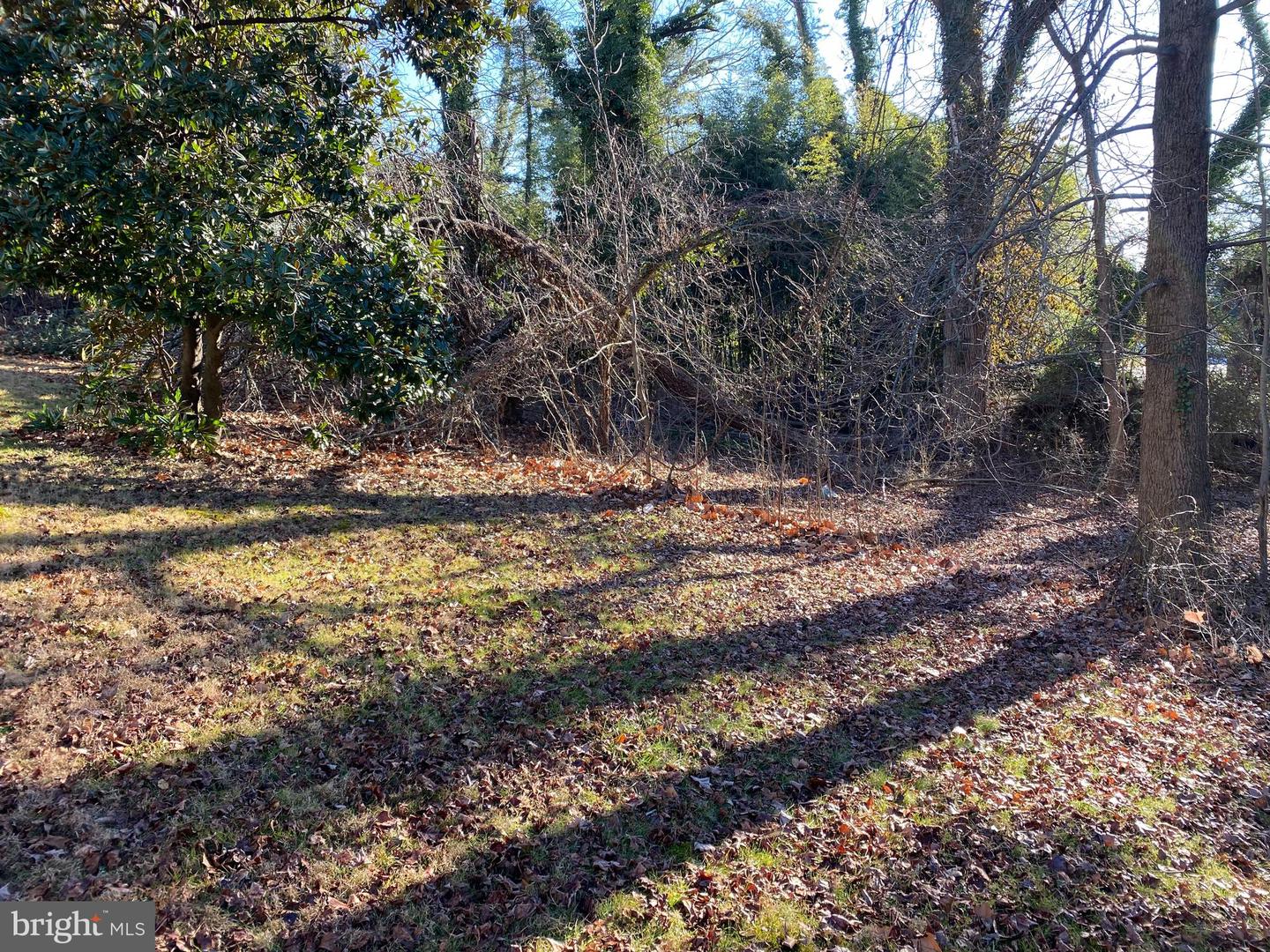 1620 Reisterstown Rd Property Photo 7