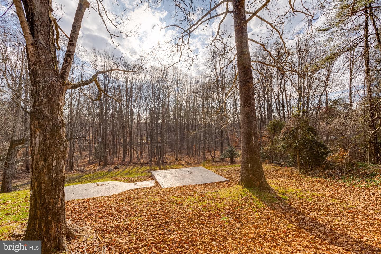 13922 Sunnybrook Rd Property Photo 6