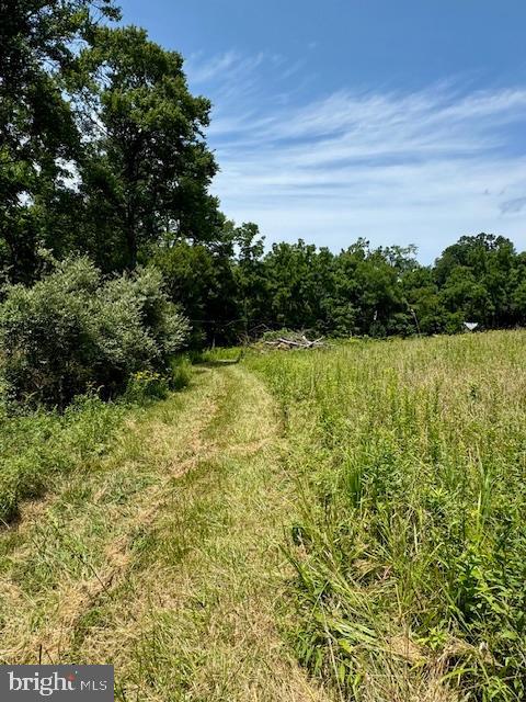 1507 Freeland Rd Property Photo 6