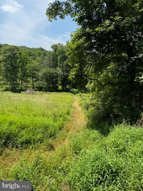 1507 Freeland Rd Property Photo 15