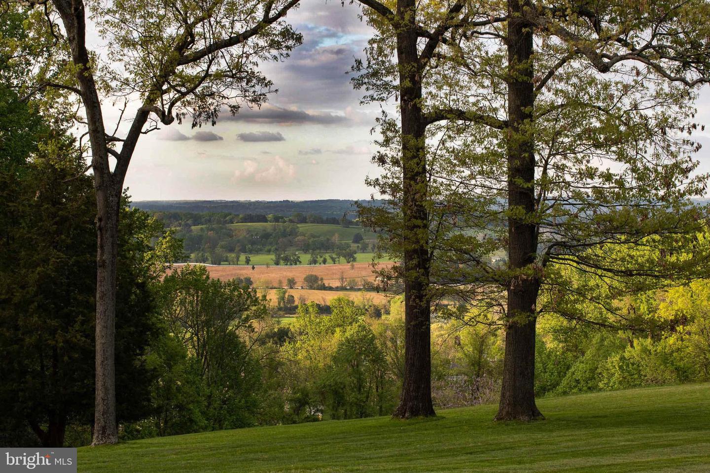 MDBC2088434 Property Photo 43