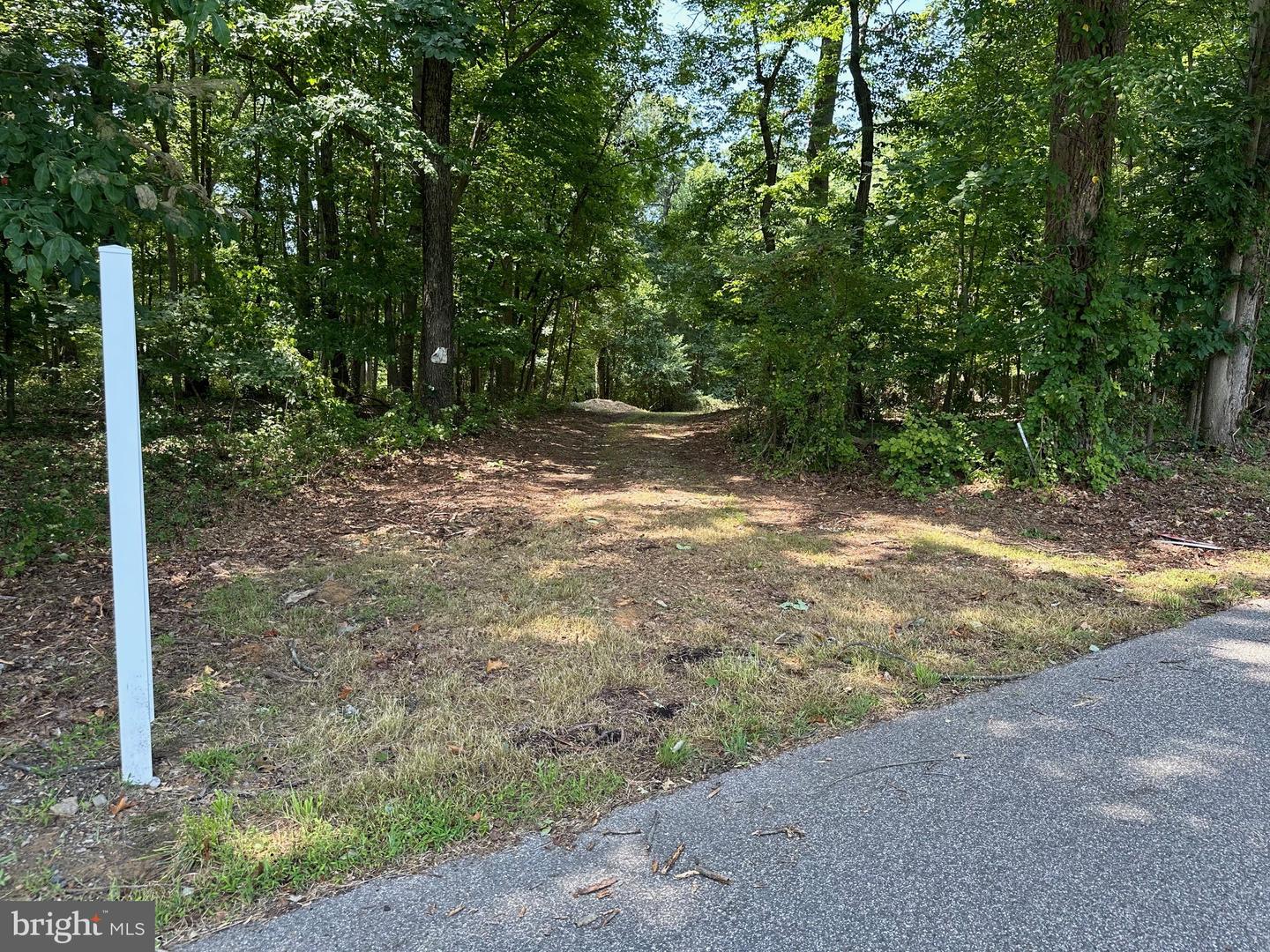 16418 Cedar Grove Property Photo 1