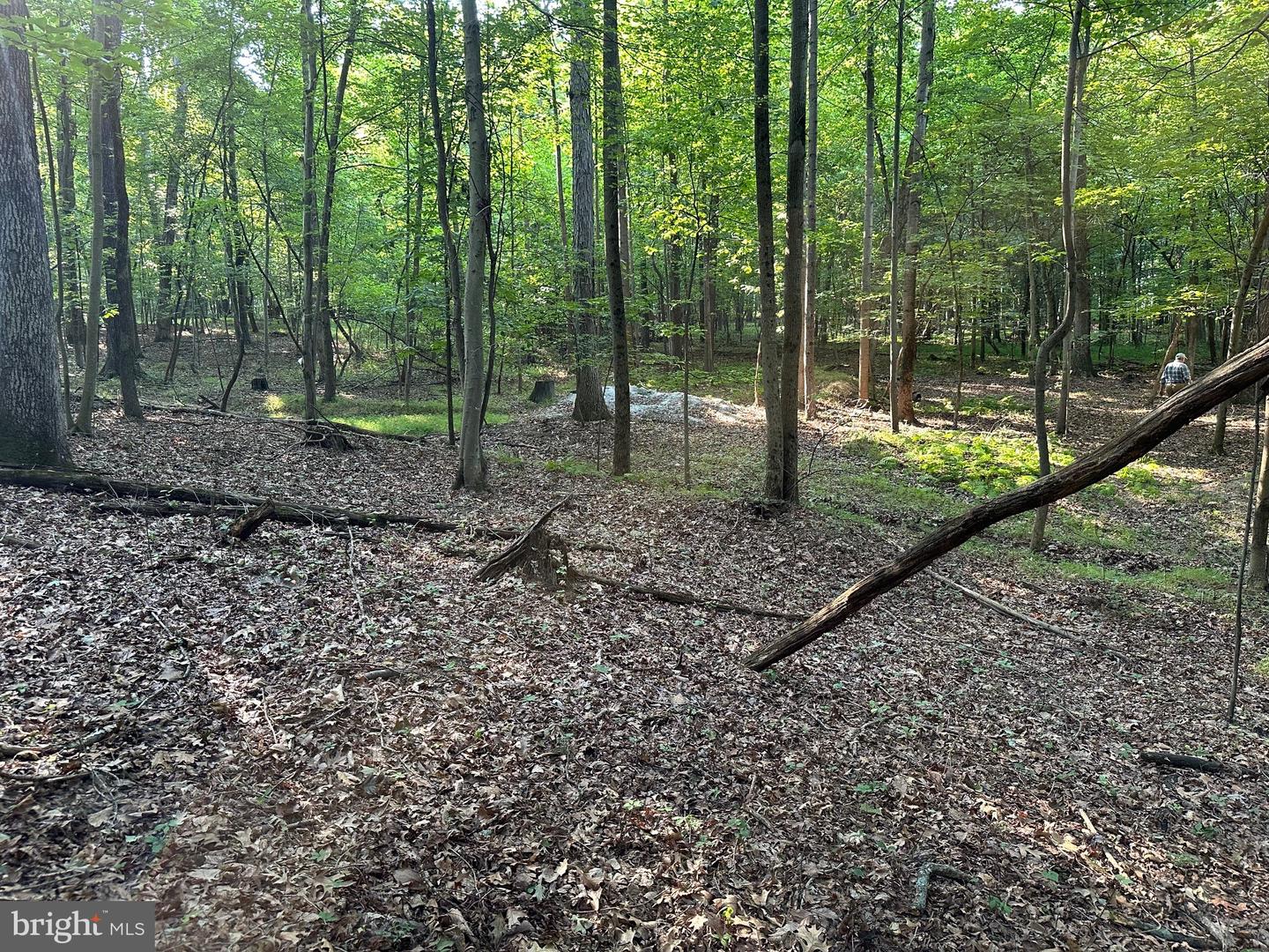 16418 Cedar Grove Property Photo 3