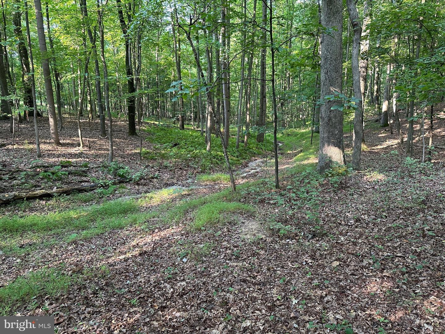 16418 Cedar Grove Property Photo 4