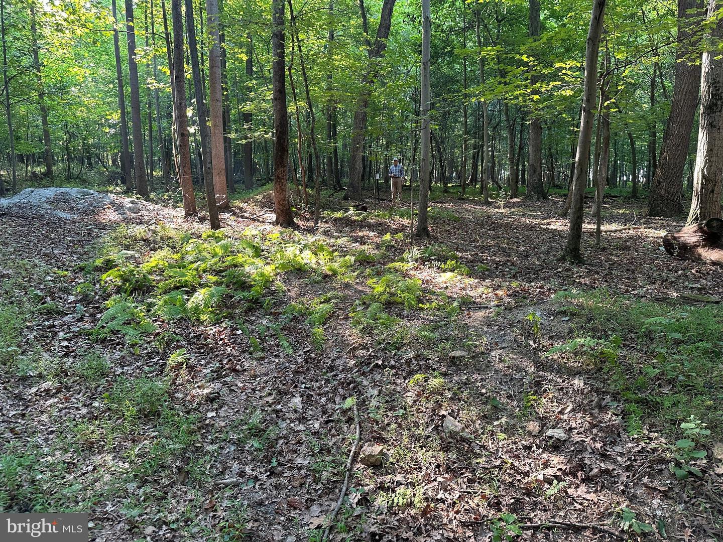 16418 Cedar Grove Property Photo 5