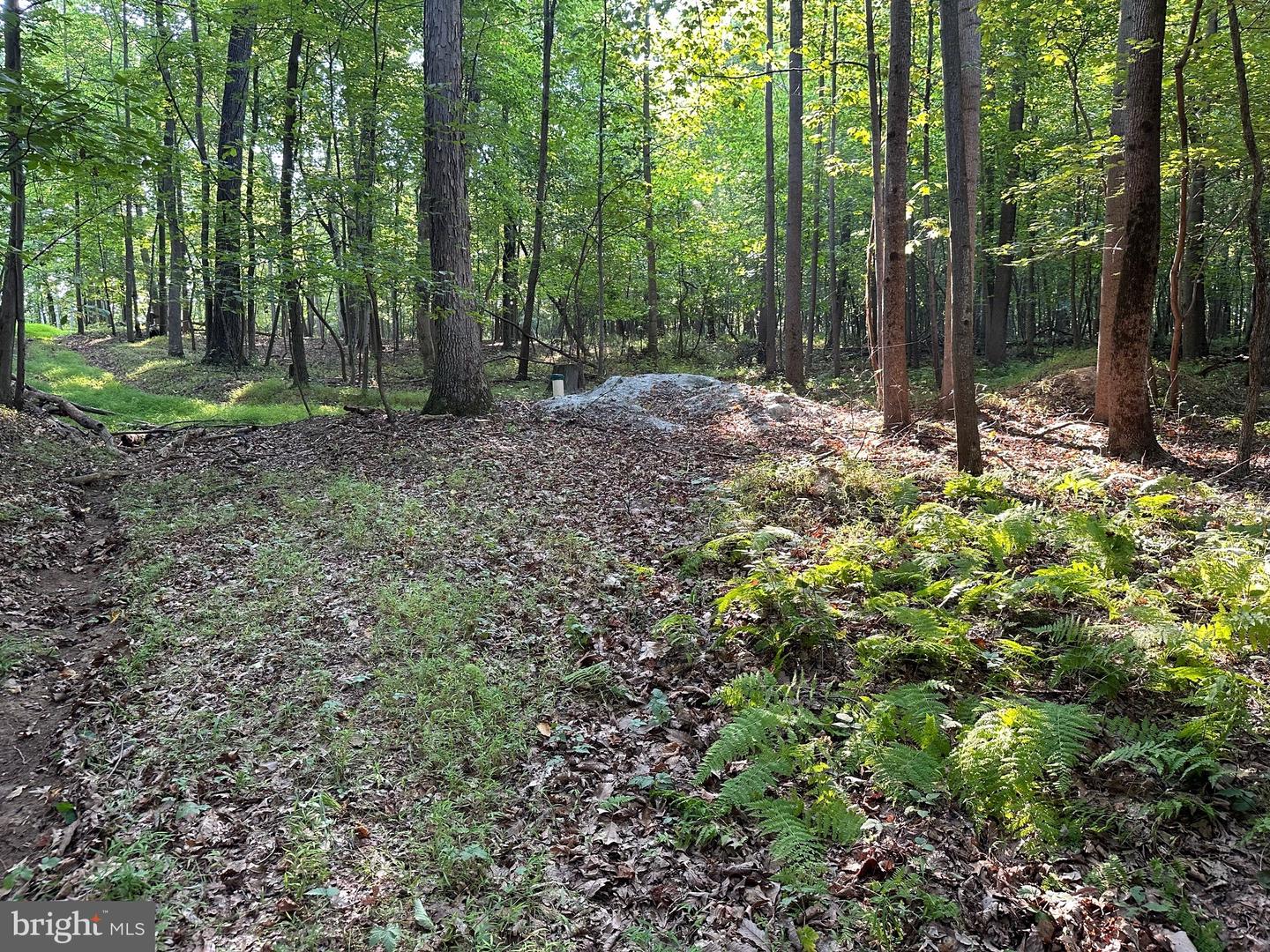 16418 Cedar Grove Property Photo 6