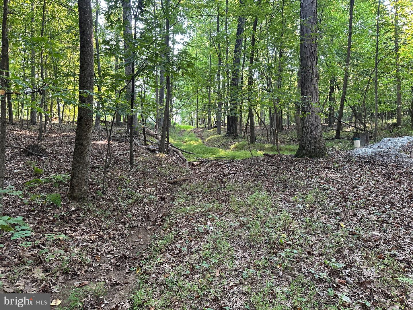 16418 Cedar Grove Property Photo 7
