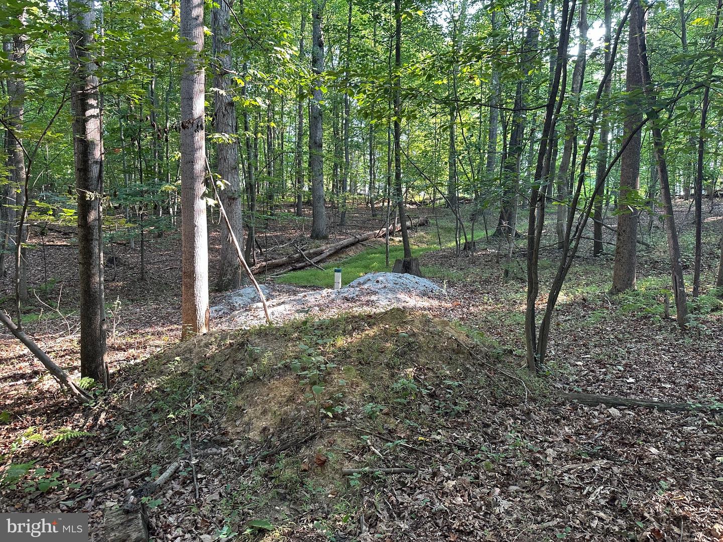 16418 Cedar Grove Property Photo 8
