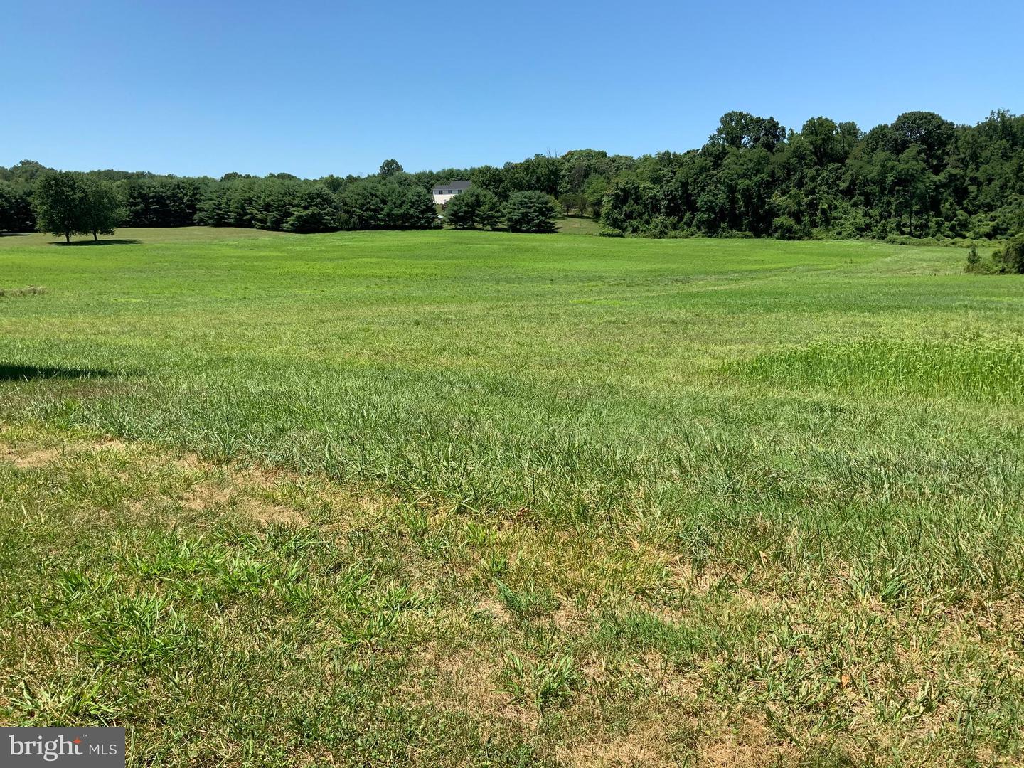 Lot 42 Gontrum Rd Property Photo 1