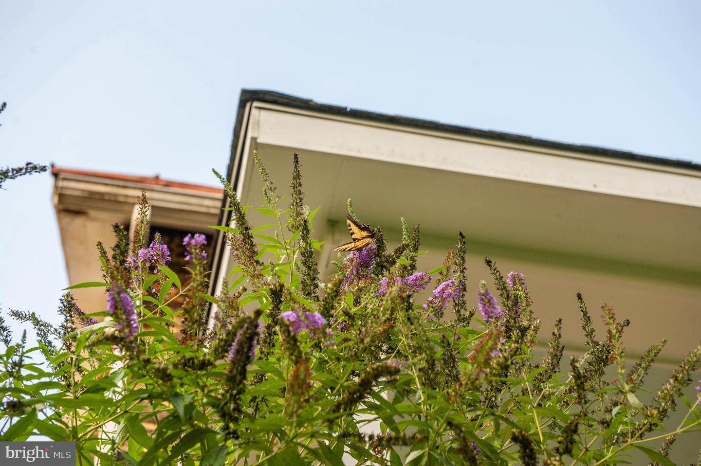 13407 Blythenia Rd Property Photo 31