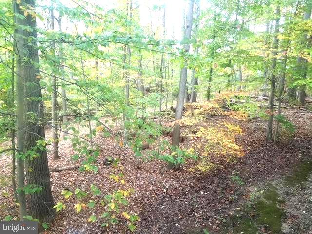 9302 Flagstone Dr Property Photo 4