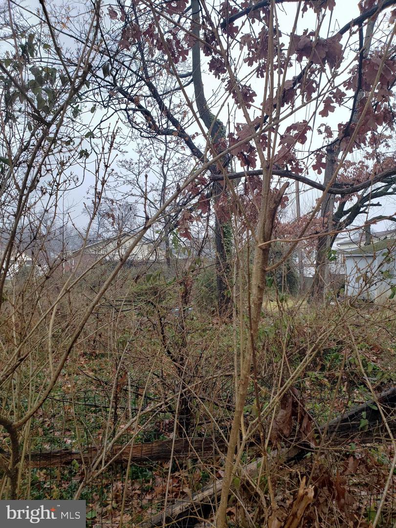 John Ave Property Photo 2