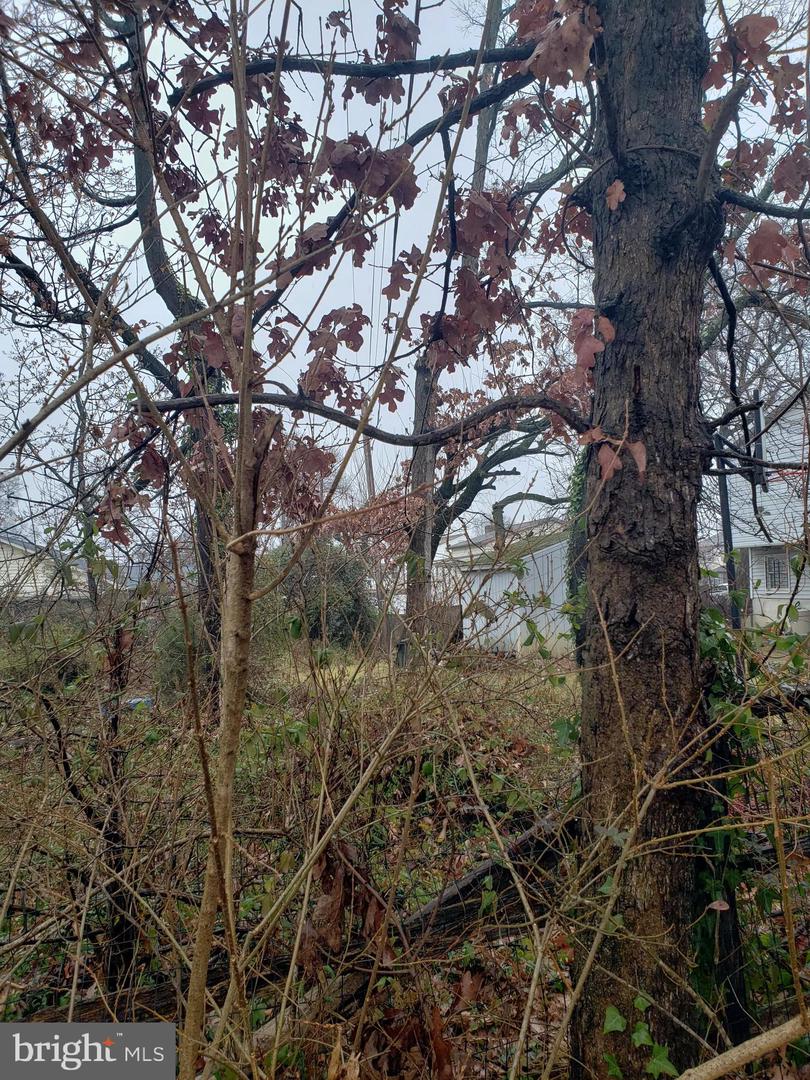 John Ave Property Photo 3