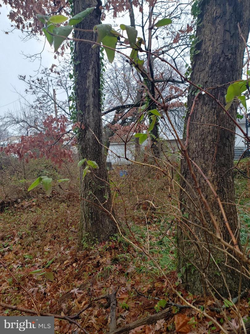 John Ave Property Photo 6