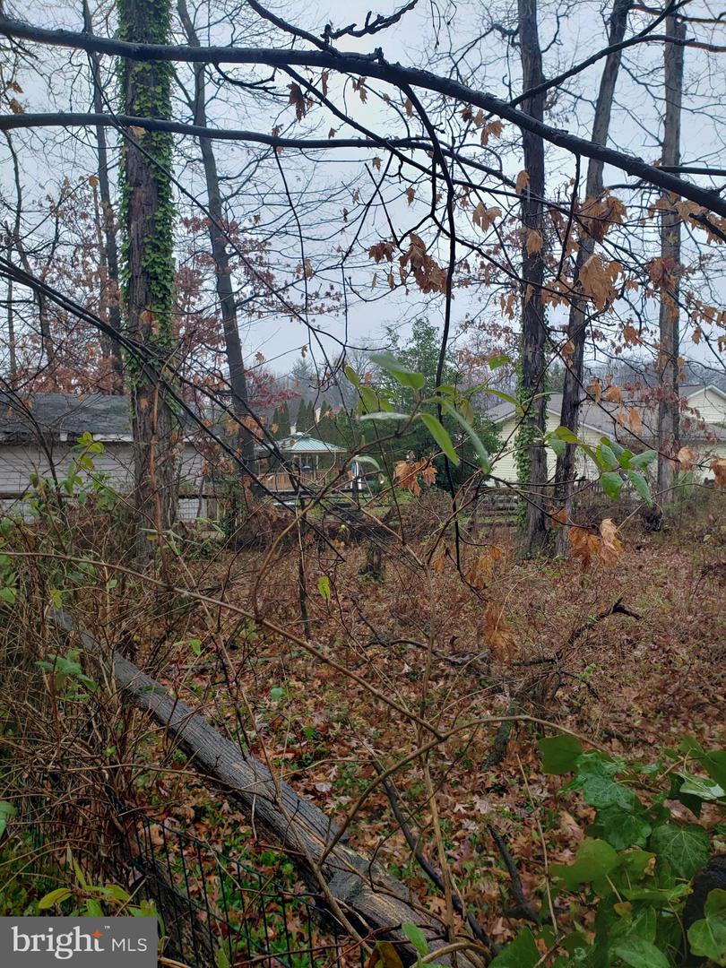 John Ave Property Photo 11
