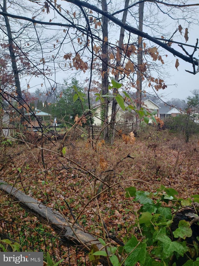 John Ave Property Photo 13